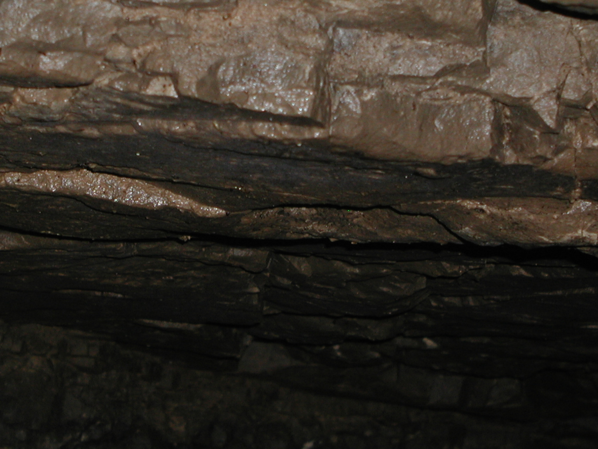 Tunnel under East Ave (10)